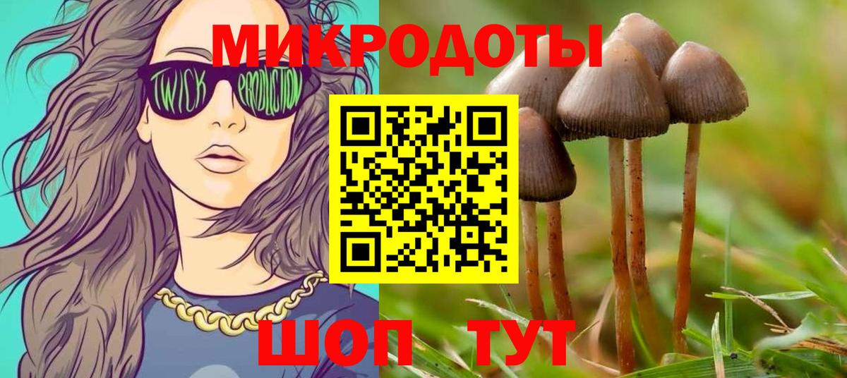 Псилоцибиновые грибы мухоморы  Вход с VPN  Гусиноозёрск 