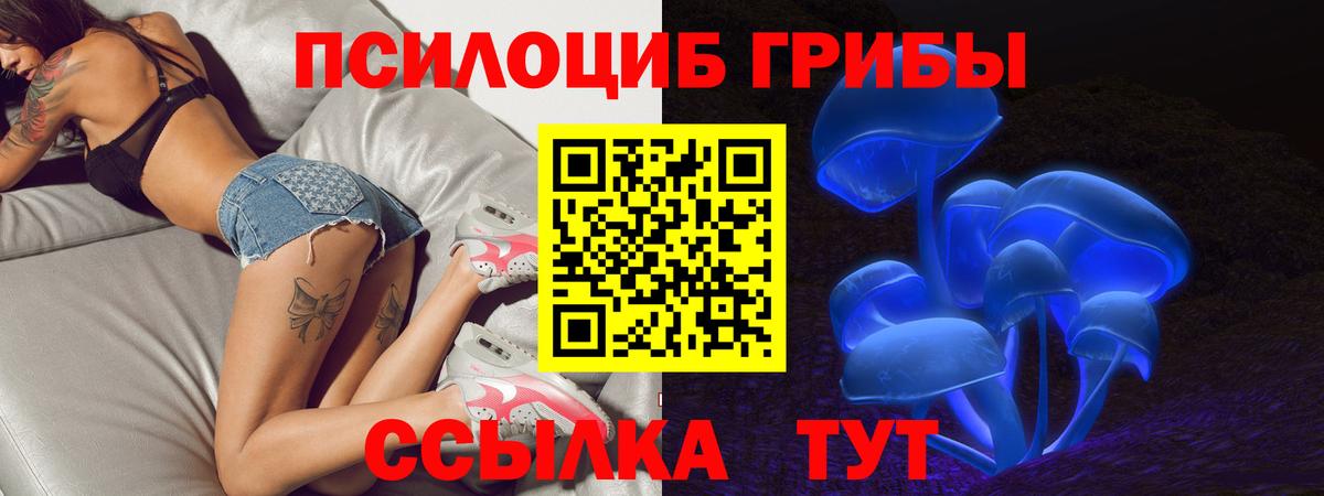 Псилоцибиновые грибы GOLDEN TEACHER Гусиноозёрск
